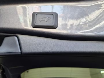 Suzuki Across
