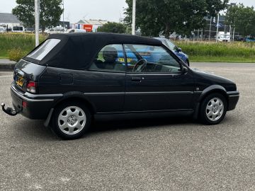 Rover 100