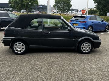 Rover 100