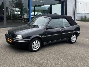 Rover 100