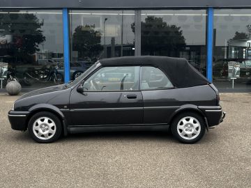 Rover 100