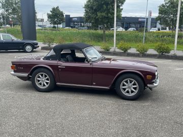 Triumph TR6