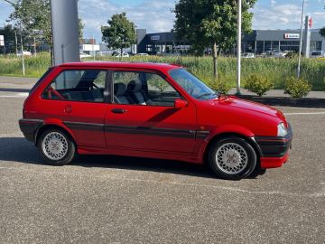 Rover 100