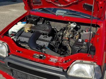 Rover 100