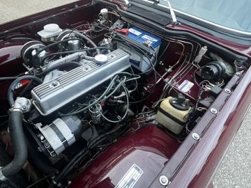 Triumph TR6
