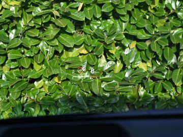 Mazda 2 Hybrid